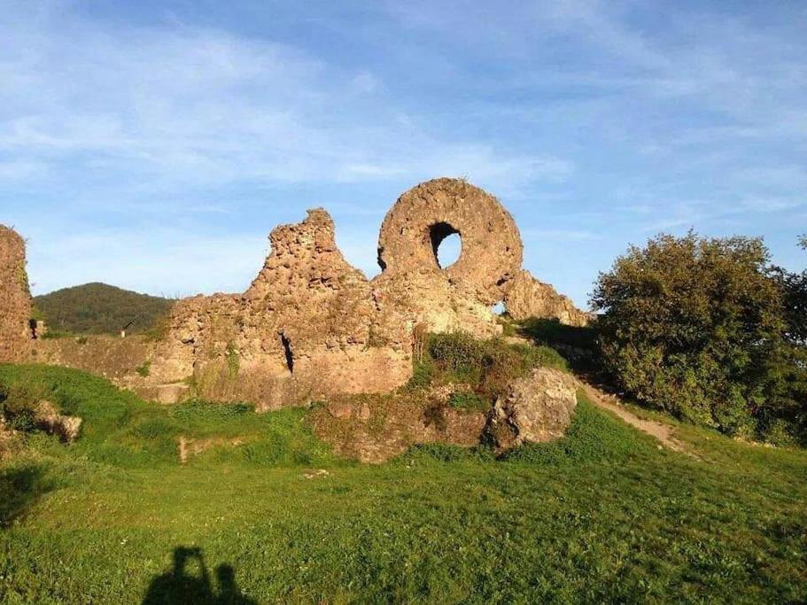 Gite Le Bambou Jama Aspach-le-Haut المظهر الخارجي الصورة